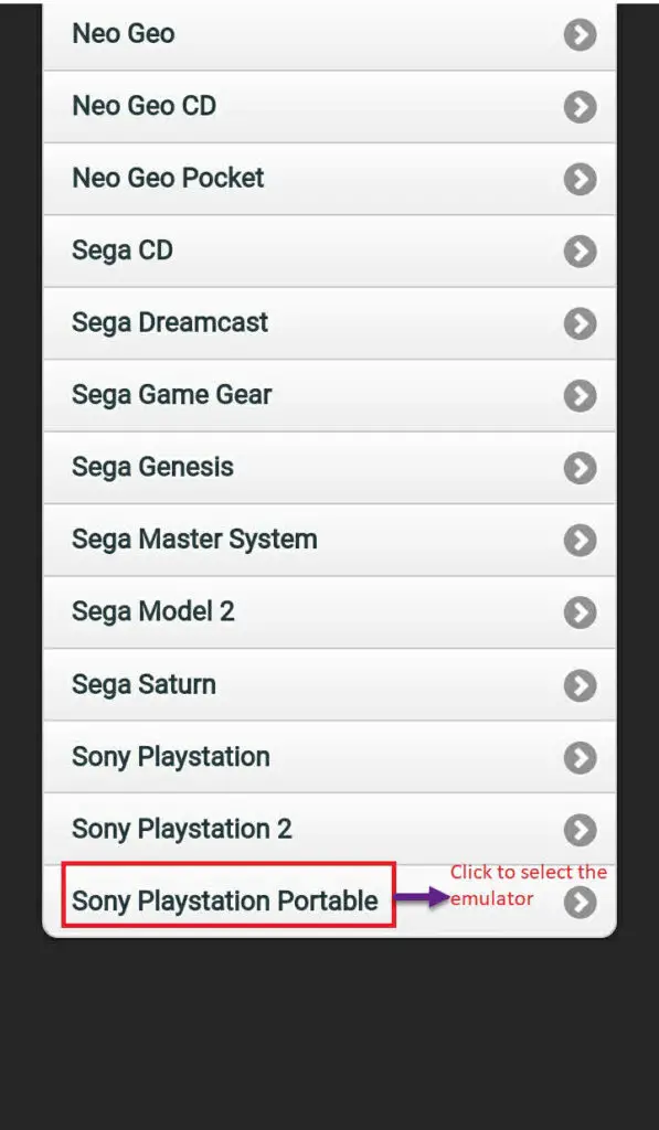 Sony PlayStation Potable