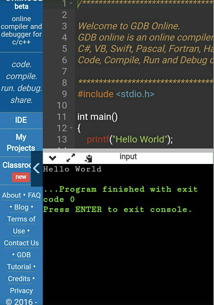 runs the code in its inbuilt compiler and interpreter