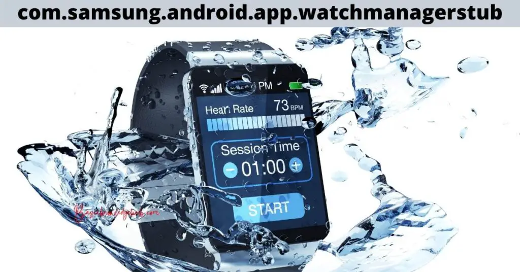 com.samsung.android.app.watchmanagerstub