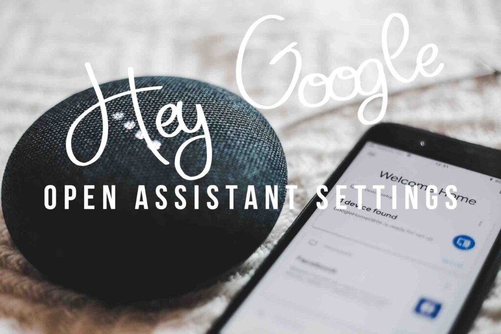 Hey Google open assistant settings
