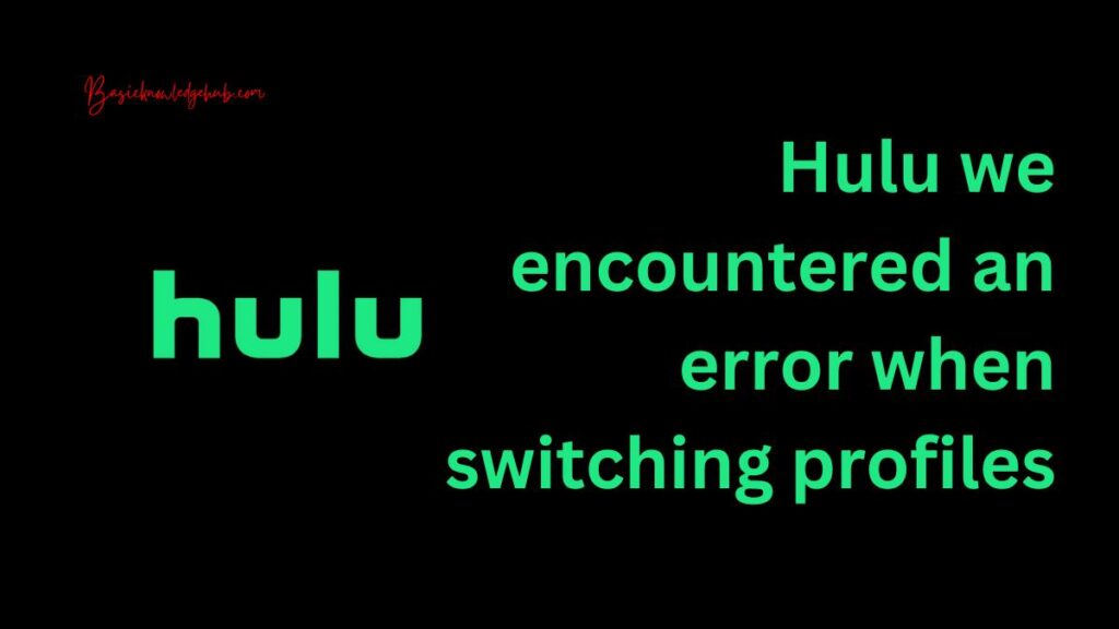 Hulu we encountered an error when switching profiles