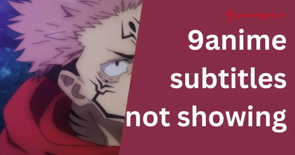 9anime subtitles not showing