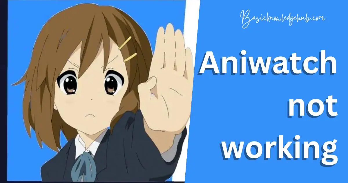 What's Wrong With Aniwatch