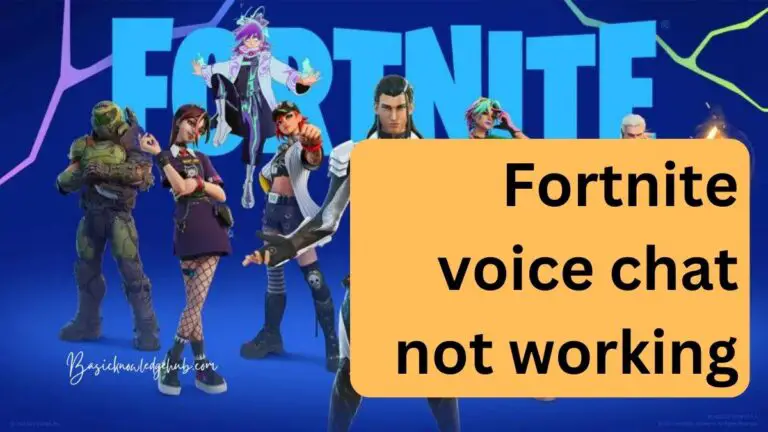 Fortnite voice chat not working