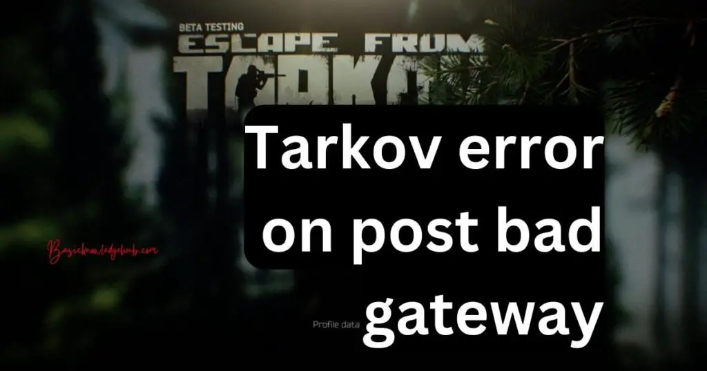 Tarkov error on post bad gateway
