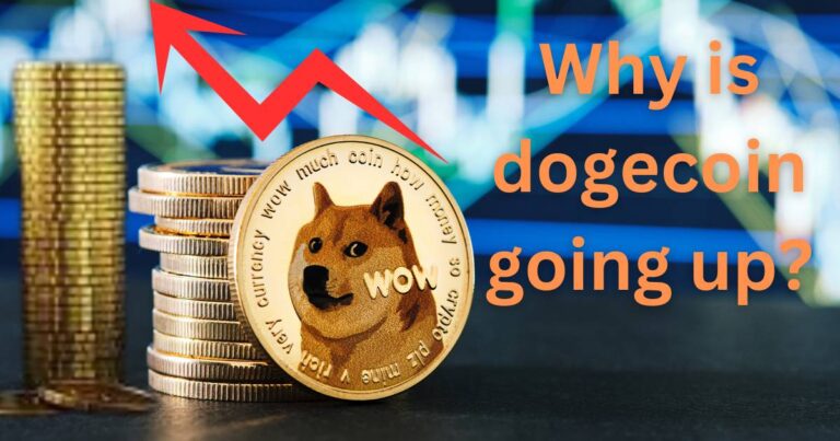 Why is dogecoin going up?